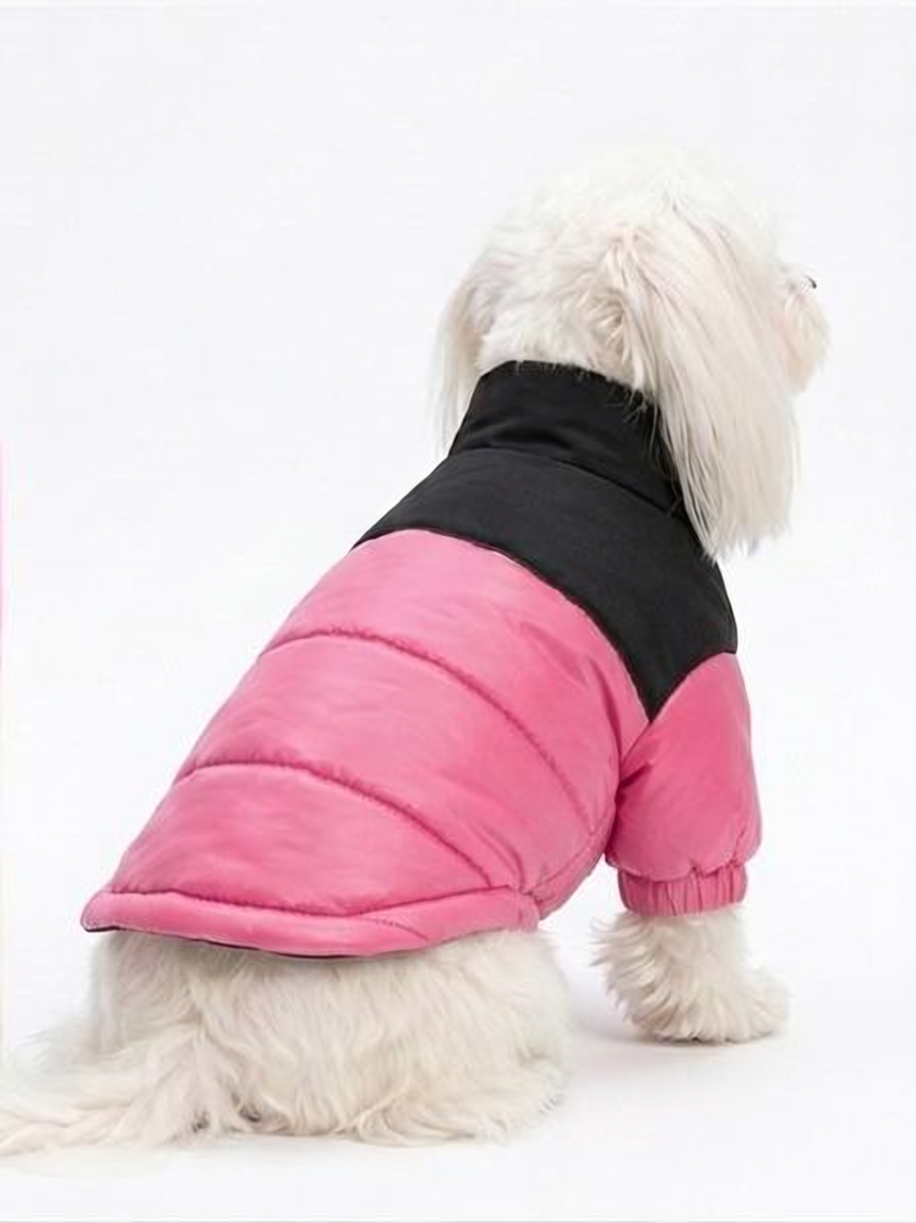 Chaqueta Impermeable Bicolor