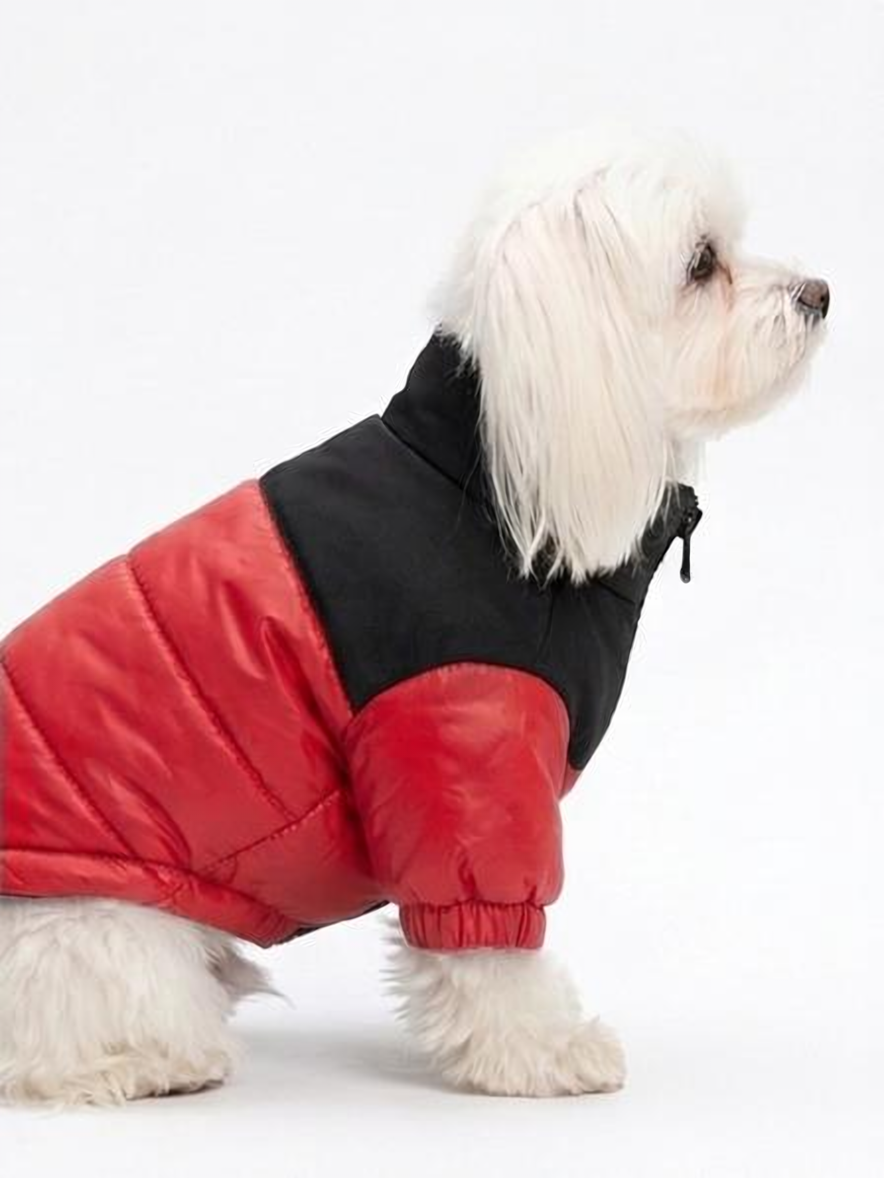 Chaqueta Impermeable Bicolor