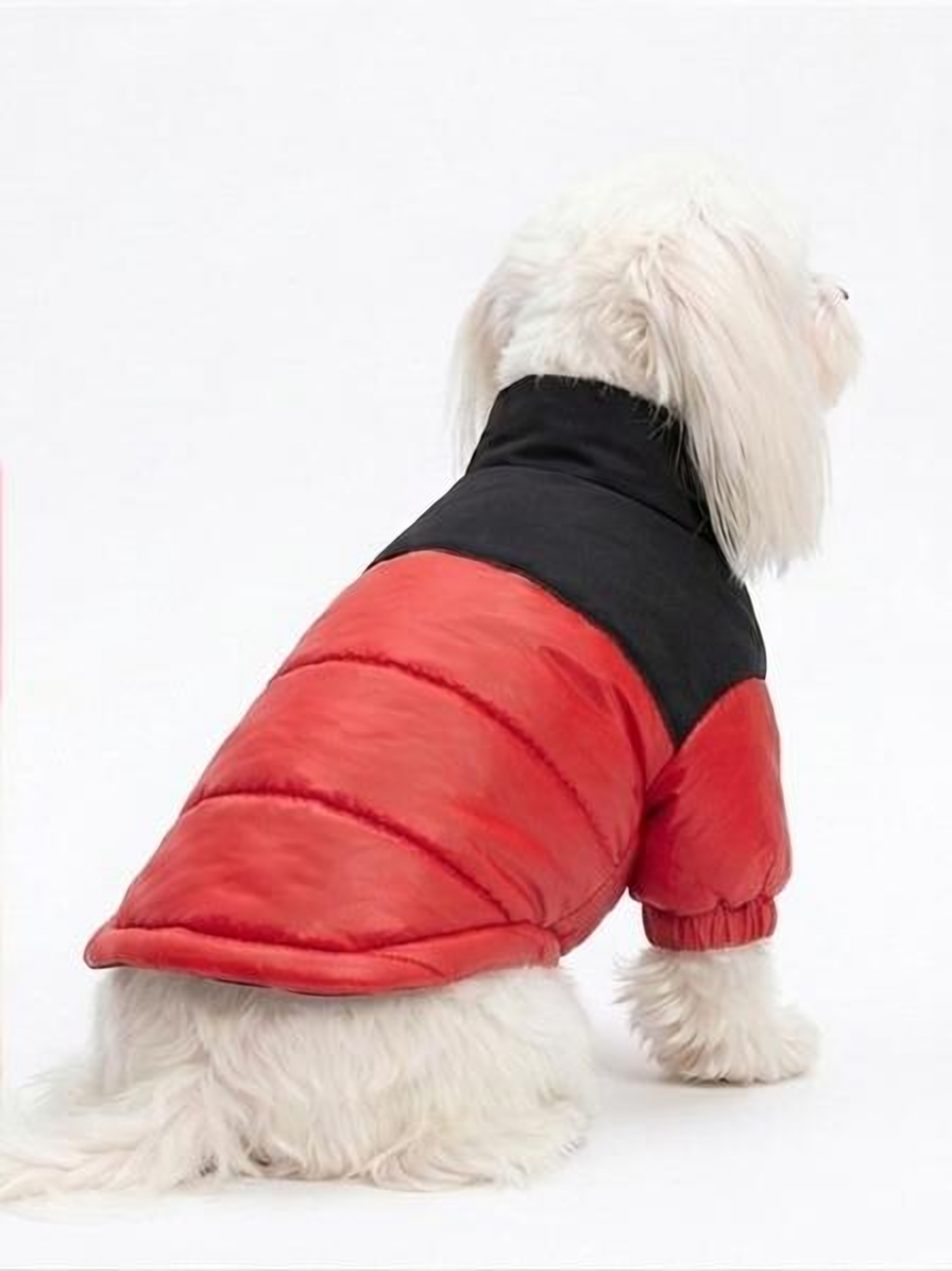 Chaqueta Impermeable Bicolor