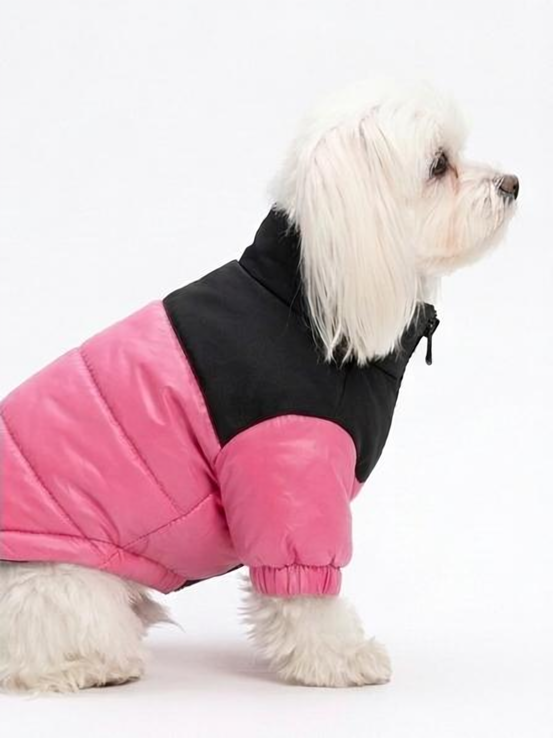 Chaqueta Impermeable Bicolor