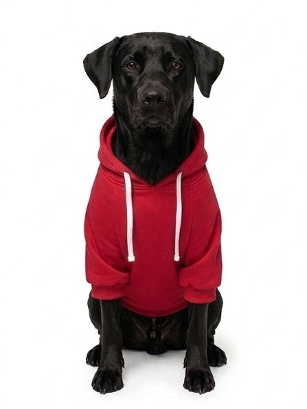 Hoodie Clásico