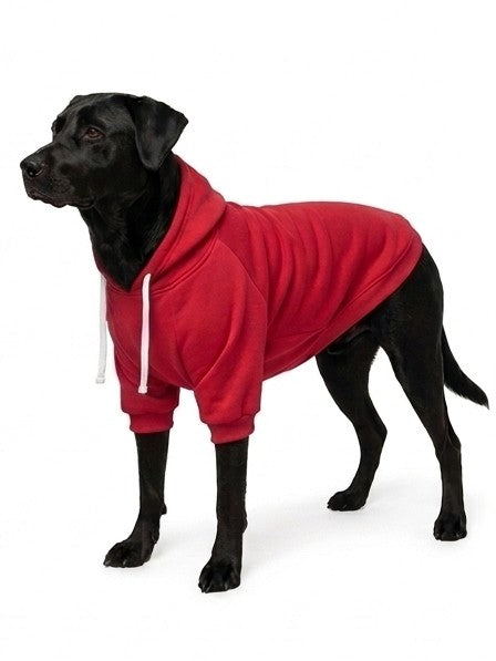 Hoodie Clásico