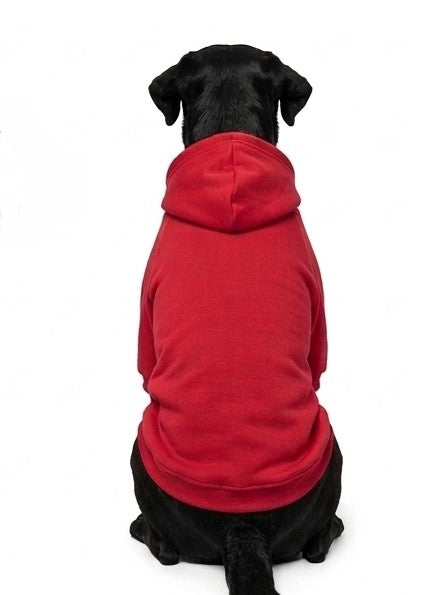 Hoodie Clásico