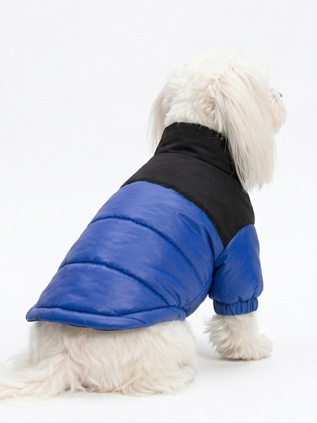 Chaqueta Impermeable Bicolor