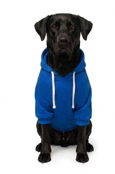 Hoodie Clásico