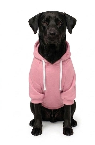 Hoodie Clásico