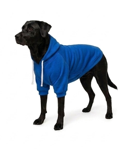 Hoodie Clásico
