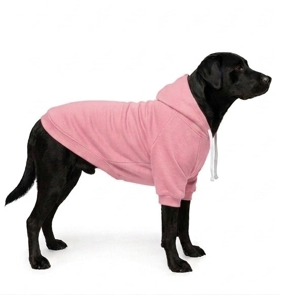 Hoodie Clásico
