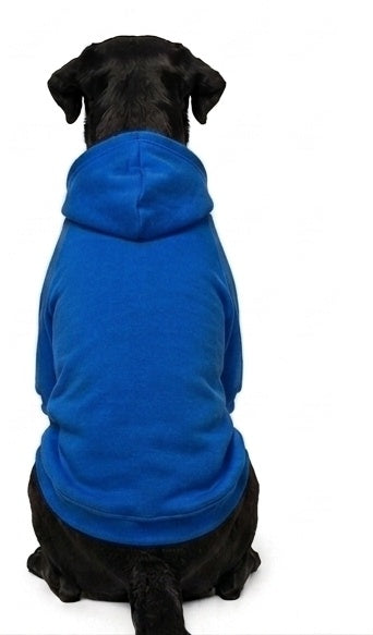 Hoodie Clásico