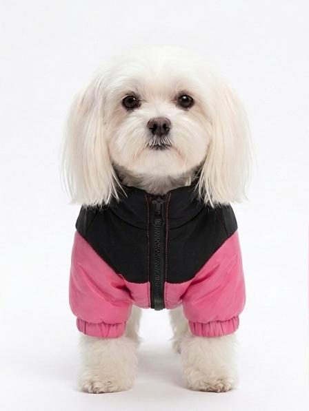 Chaqueta Impermeable Bicolor