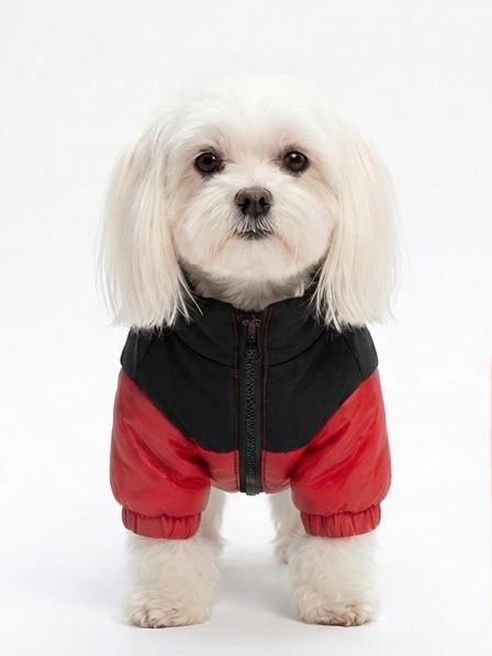 Chaqueta Impermeable Bicolor