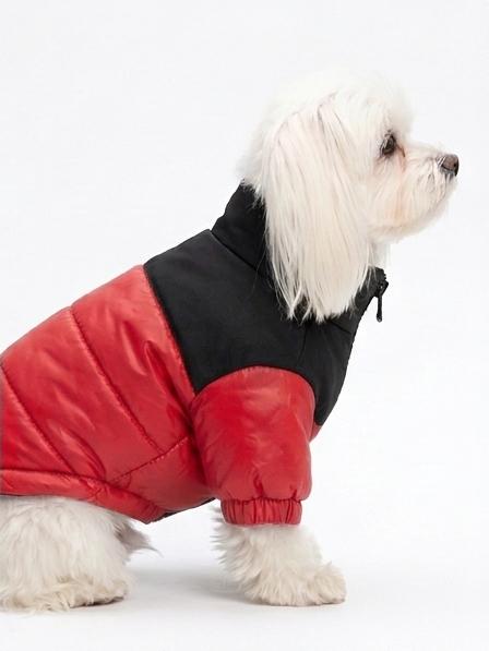 Chaqueta Impermeable Bicolor