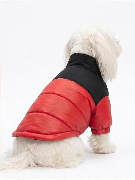 Chaqueta Impermeable Bicolor